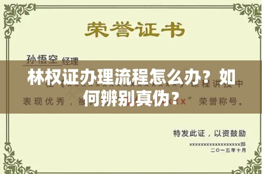 全国林权证办理流程怎么办?如何辨别真伪?