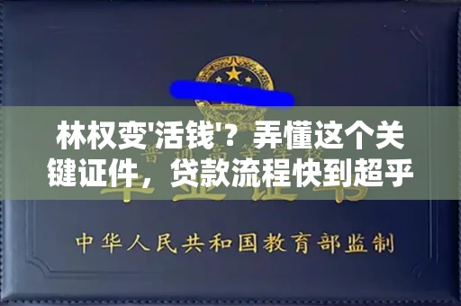 全国林权变'活钱'?弄懂这个关键证件,贷款流程快到超乎想象!